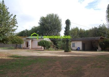 Foto 7 - Terreno agricolo VIA S.DA STATALE 7, Cisterna di Latina - foto 7