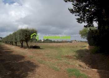 Foto 12 - Terreno agricolo VIA S.DA STATALE 7, Cisterna di Latina - foto 12