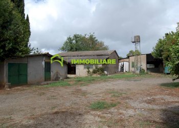 Foto 13 - Terreno agricolo VIA S.DA STATALE 7, Cisterna di Latina - foto 13