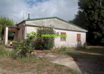 Foto 15 - Terreno agricolo VIA S.DA STATALE 7, Cisterna di Latina - foto 15