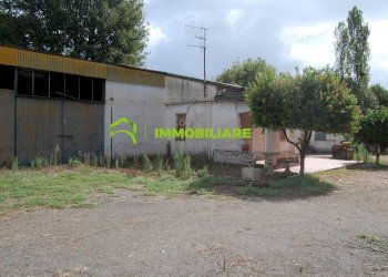 Foto 18 - Terreno agricolo VIA S.DA STATALE 7, Cisterna di Latina - foto 18