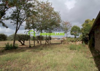 Foto 19 - Terreno agricolo VIA S.DA STATALE 7, Cisterna di Latina - foto 19