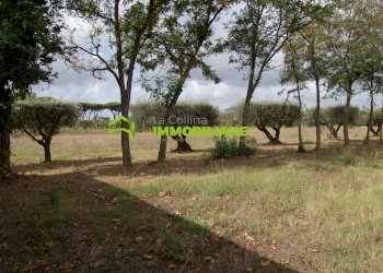 Foto 20 - Terreno agricolo VIA S.DA STATALE 7, Cisterna di Latina - foto 20