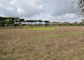 Foto 22 - Terreno agricolo VIA S.DA STATALE 7, Cisterna di Latina - foto 22