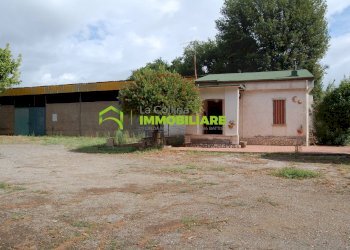 Foto 24 - Terreno agricolo VIA S.DA STATALE 7, Cisterna di Latina - foto 24