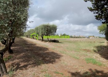 Foto 26 - Terreno agricolo VIA S.DA STATALE 7, Cisterna di Latina - foto 26