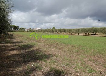 Foto 27 - Terreno agricolo VIA S.DA STATALE 7, Cisterna di Latina - foto 27