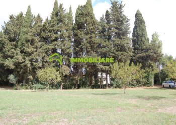 Foto 28 - Terreno agricolo VIA S.DA STATALE 7, Cisterna di Latina - foto 28