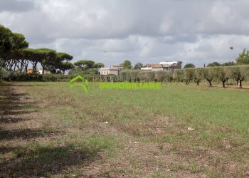 Foto 29 - Terreno agricolo VIA S.DA STATALE 7, Cisterna di Latina - foto 29