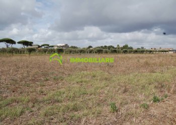 Foto 32 - Terreno agricolo VIA S.DA STATALE 7, Cisterna di Latina - foto 32