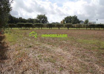 Foto 33 - Terreno agricolo VIA S.DA STATALE 7, Cisterna di Latina - foto 33