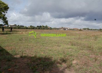 Foto 35 - Terreno agricolo VIA S.DA STATALE 7, Cisterna di Latina - foto 35