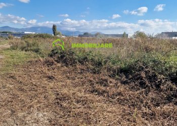 Foto 4 - Agriturismo Cisterna di Latina - foto 4