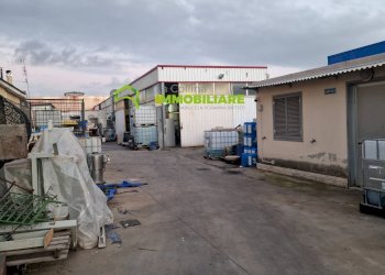 Foto 3 - Capannone Via dei Garofani, Cisterna di Latina - foto 3