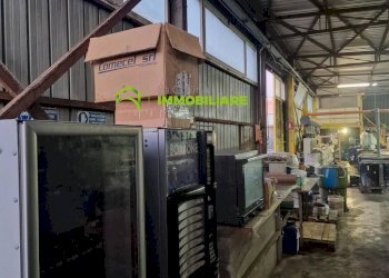 Foto 9 - Capannone Via dei Garofani, Cisterna di Latina - foto 9