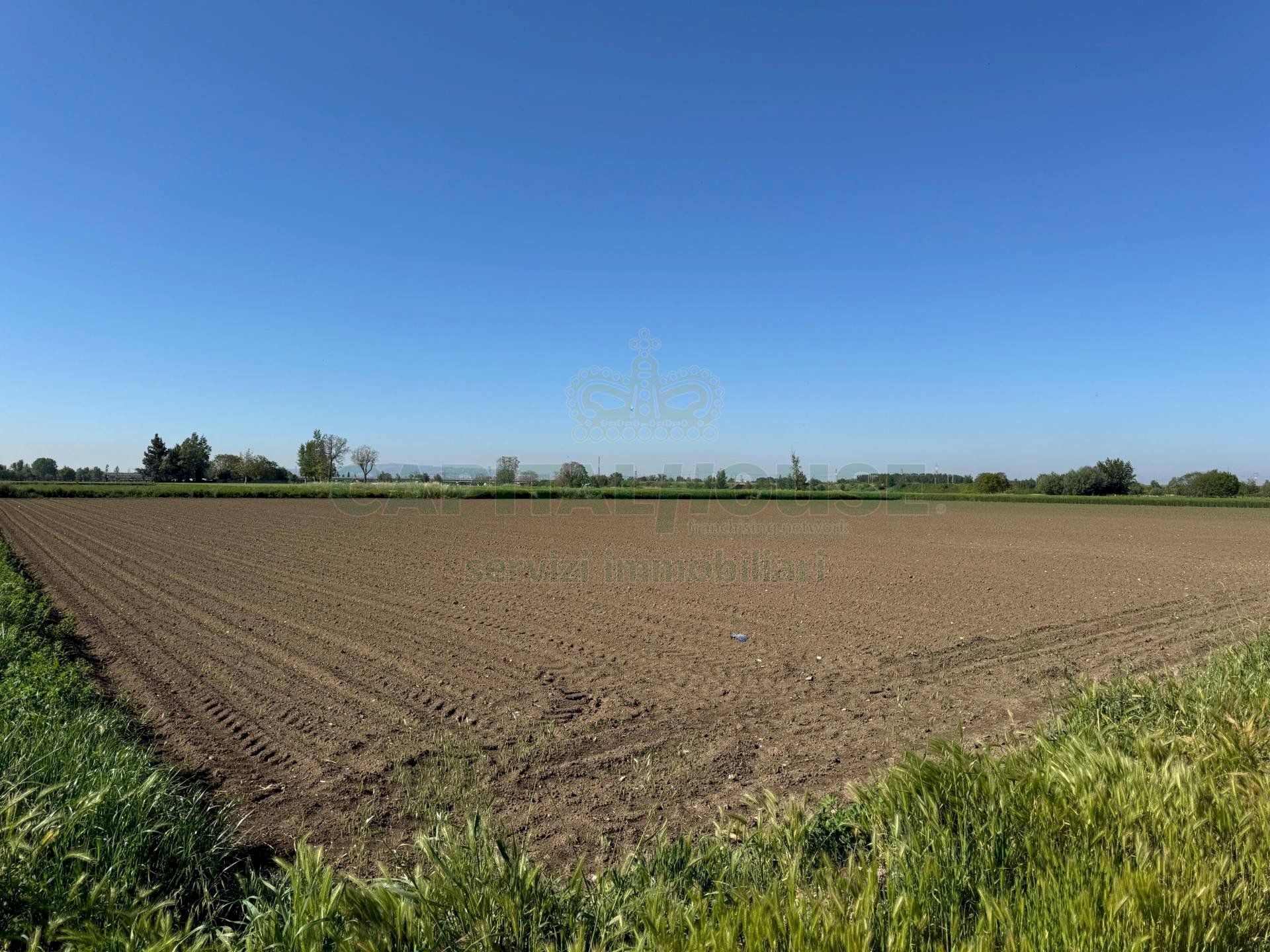 Foto 3 - Terreno agricolo via Antonio Segni, Marcianise - foto 3