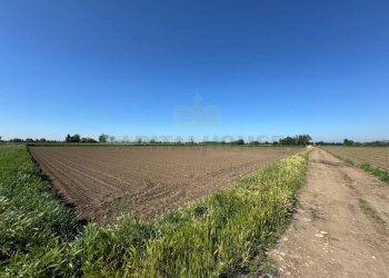 Foto 1 - Terreno agricolo via Antonio Segni, Marcianise - foto 1