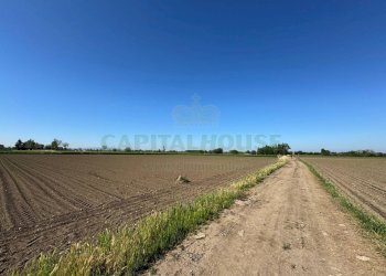 Foto 2 - Terreno agricolo via Antonio Segni, Marcianise - foto 2