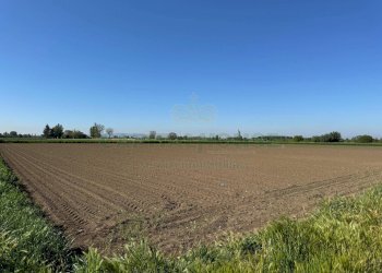 Foto 3 - Terreno agricolo via Antonio Segni, Marcianise - foto 3