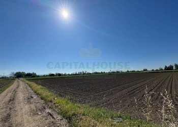 Foto 4 - Terreno agricolo via Antonio Segni, Marcianise - foto 4