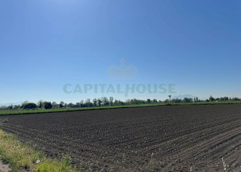 Foto 5 - Terreno agricolo via Antonio Segni, Marcianise - foto 5