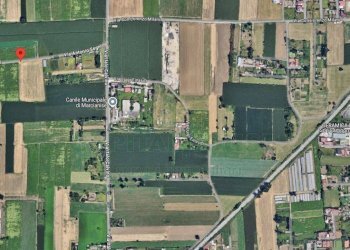 Foto 6 - Terreno agricolo via Antonio Segni, Marcianise - foto 6