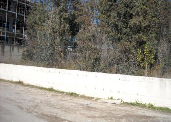 Foto 2 - Terreno edificabile VIA DANTE ALIGHIERI, Sant'Antimo - foto 2