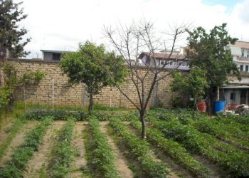 Foto 2 - Terreno agricolo CORSO UNIONE SOVIETICA, Sant'Antimo - foto 2