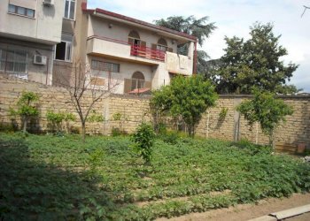 Foto 3 - Terreno agricolo CORSO UNIONE SOVIETICA, Sant'Antimo - foto 3