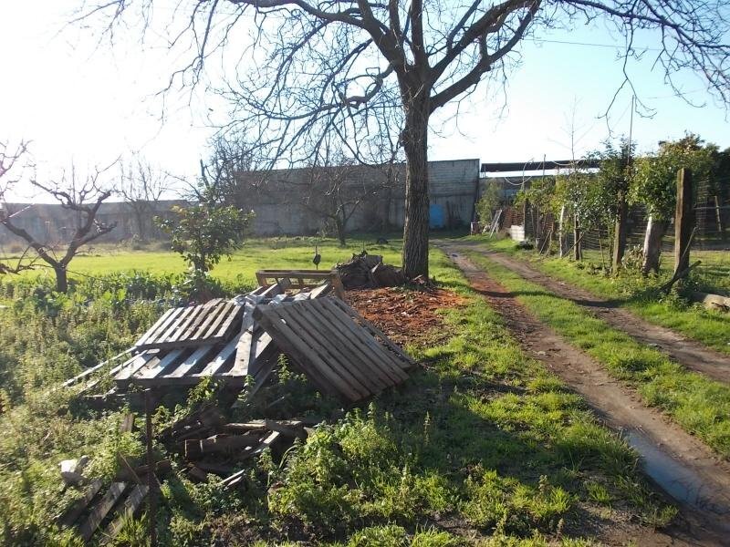 Foto 3 - Terreno agricolo CORSO UNIONE SOVIETICA, Sant'Antimo - foto 3