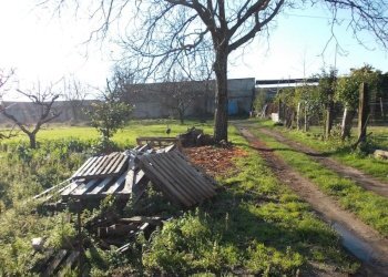 Foto 3 - Terreno agricolo CORSO UNIONE SOVIETICA, Sant'Antimo - foto 3