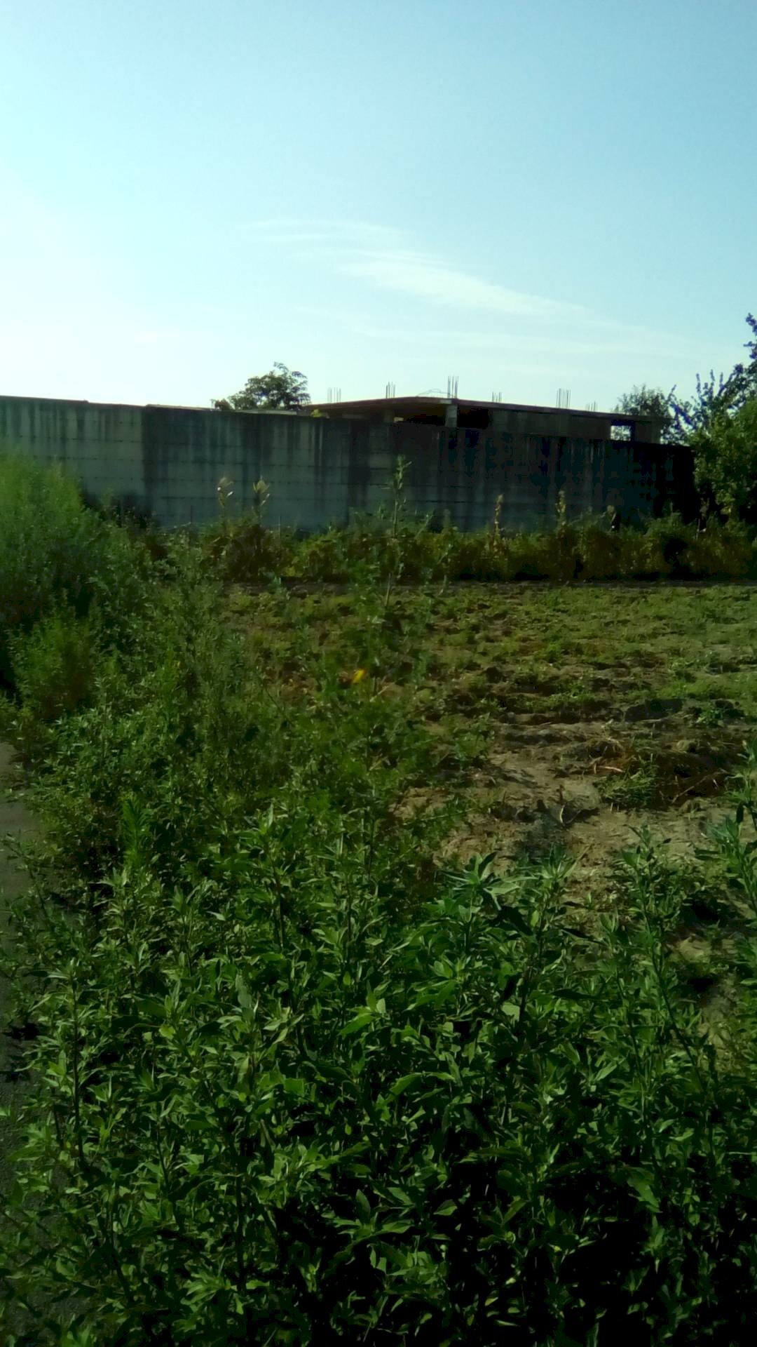 Foto 2 - Terreno agricolo via tasso, Sant'Antimo - foto 2