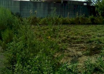 Foto 2 - Terreno agricolo via tasso, Sant'Antimo - foto 2