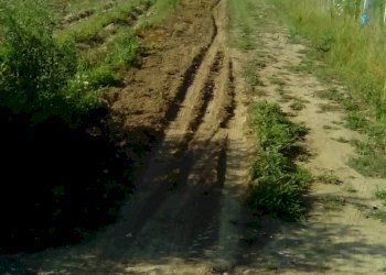 Foto 3 - Terreno agricolo via tasso, Sant'Antimo - foto 3