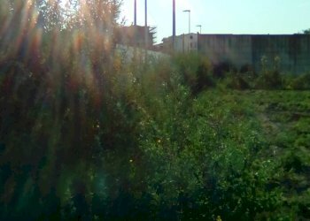 Foto 4 - Terreno agricolo via tasso, Sant'Antimo - foto 4