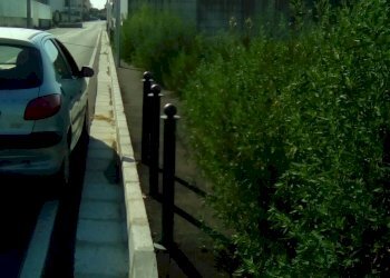 Foto 6 - Terreno agricolo via tasso, Sant'Antimo - foto 6