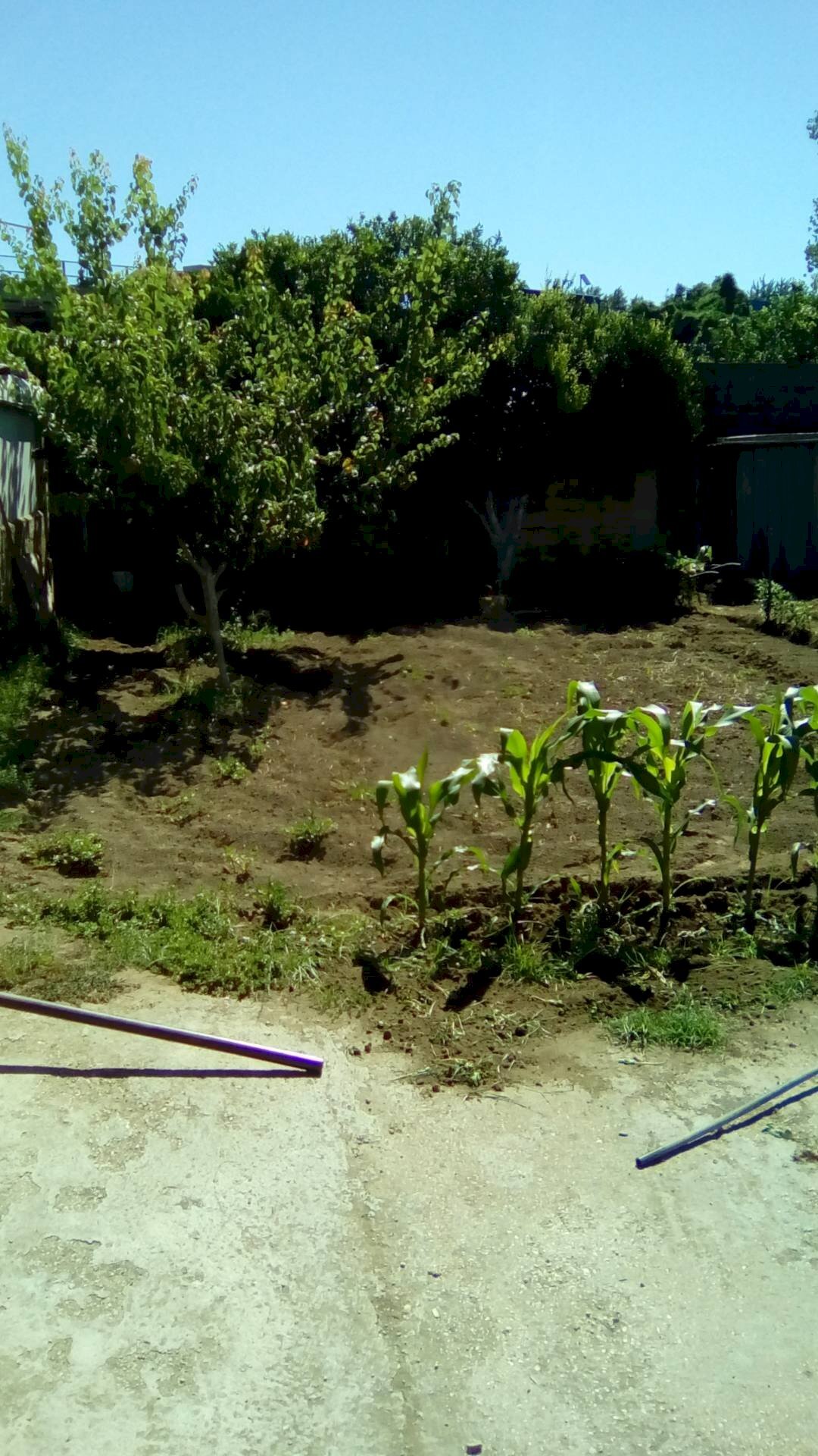 Foto 2 - Terreno agricolo CORSO ITALIA, Sant'Antimo - foto 2