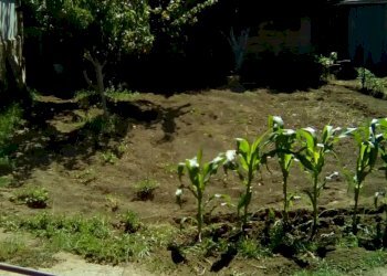 Foto 2 - Terreno agricolo CORSO ITALIA, Sant'Antimo - foto 2