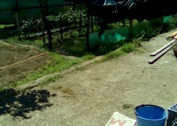 Foto 5 - Terreno agricolo CORSO ITALIA, Sant'Antimo - foto 5