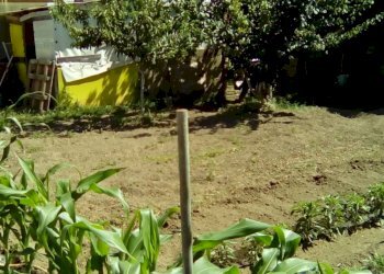 Foto 6 - Terreno agricolo CORSO ITALIA, Sant'Antimo - foto 6