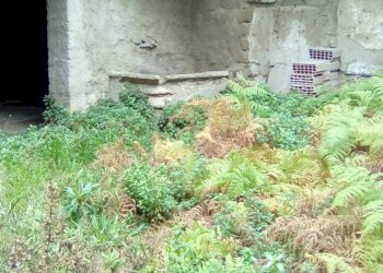 Foto 12 - Terreno edificabile VIA CARDINALE VERDE, Sant'Antimo - foto 12