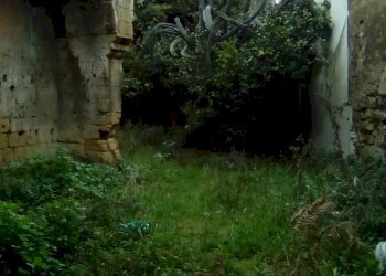 Foto 18 - Terreno edificabile VIA CARDINALE VERDE, Sant'Antimo - foto 18