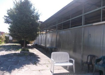 Foto 2 - Warehouse VIA GIUSEPPE DI VITTORIO, Sant'Antimo - photo 2