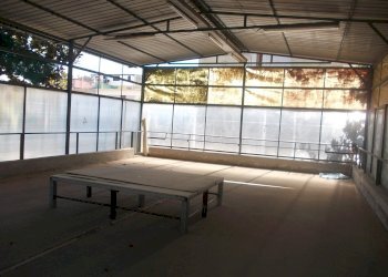 Foto 4 - Warehouse VIA GIUSEPPE DI VITTORIO, Sant'Antimo - photo 4