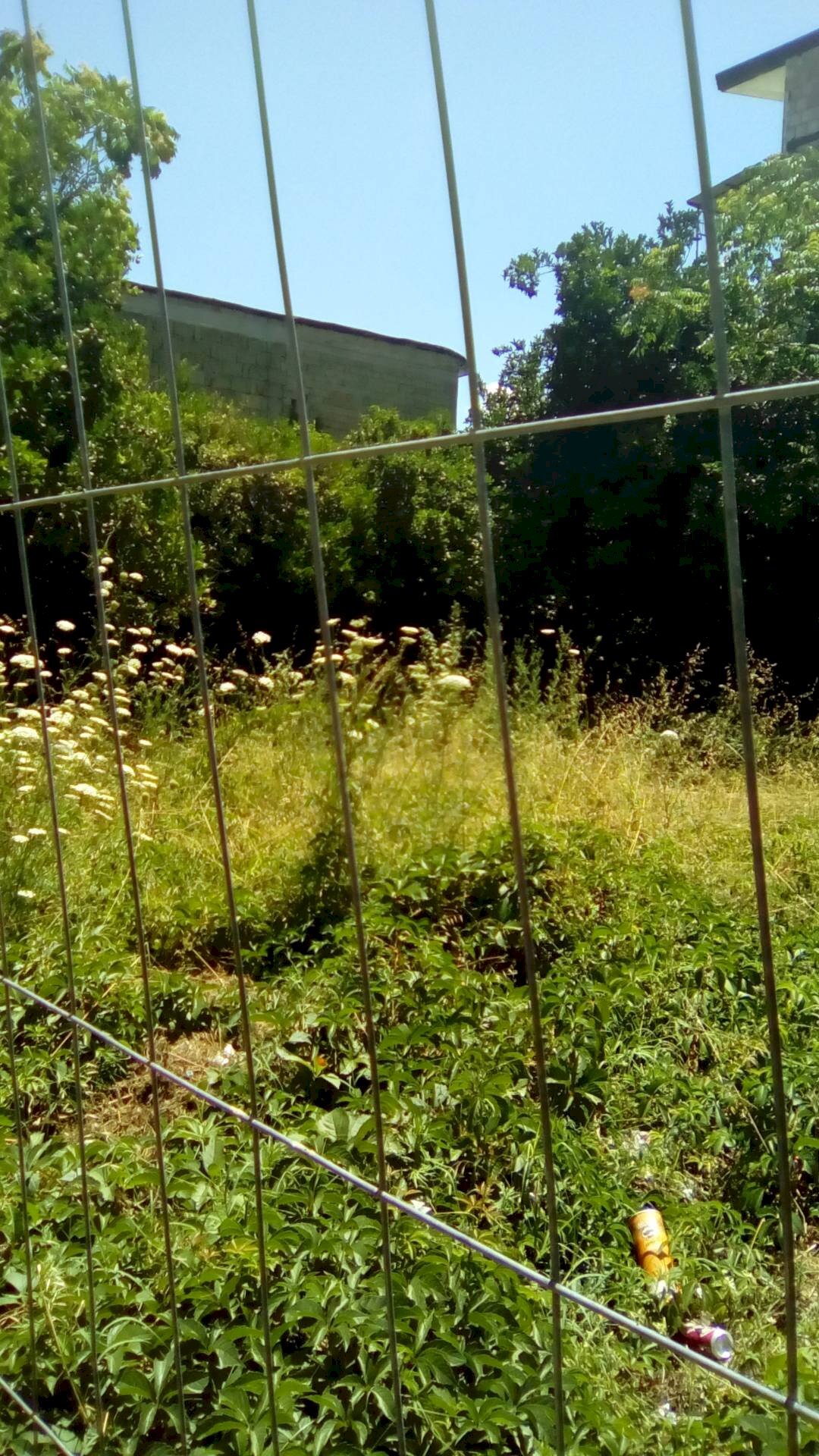 Foto 3 - Terreno edificabile via crucis, Sant'Antimo - foto 3