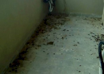 Foto 15 - Trilocale VIA ALDO MORO, Sant'Antimo - foto 15