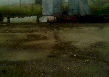 Foto 2 - Terreno agricolo GIUSEPPE DI VITTORIO, Sant'Antimo - foto 2