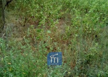 Foto 4 - Terreno edificabile CORSO EUROPA, Sant'Antimo - foto 4