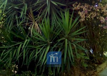 Foto 30 - Appartamento VIA MARCONI, Sant'Antimo - foto 30