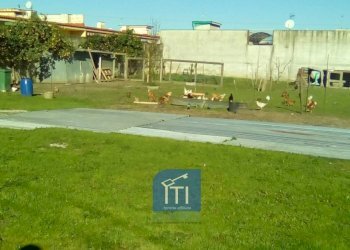 Foto 1 - Terreno agricolo VIA MEDI, Sant'Antimo - foto 1